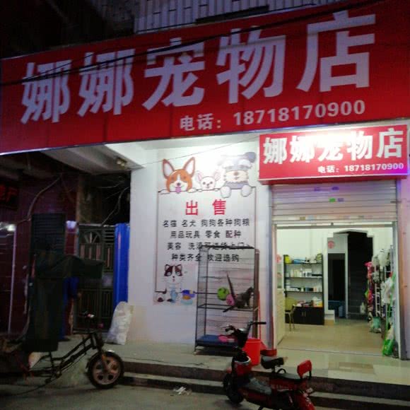 娜娜宠物店:惠州市惠阳区