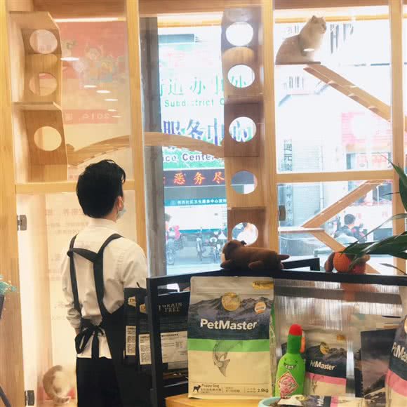 诺宠优·喵豆喵咖:惠州市惠阳区