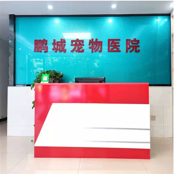 鹏城宠物医院:惠州市惠阳区