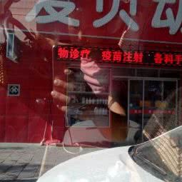 爱贝动物诊所:惠州市惠阳区