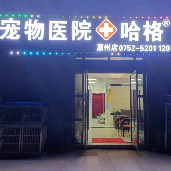 盖斯宠物医院:惠州市惠阳区