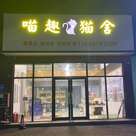 喵趣猫舍宠物店:惠州市博罗县