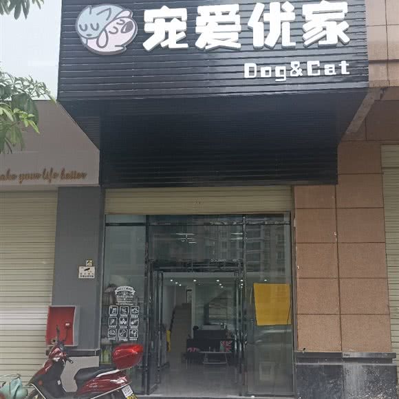 宠爱优家:惠州市博罗县