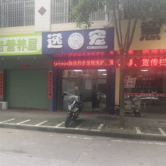 逸宠:惠州市博罗县
