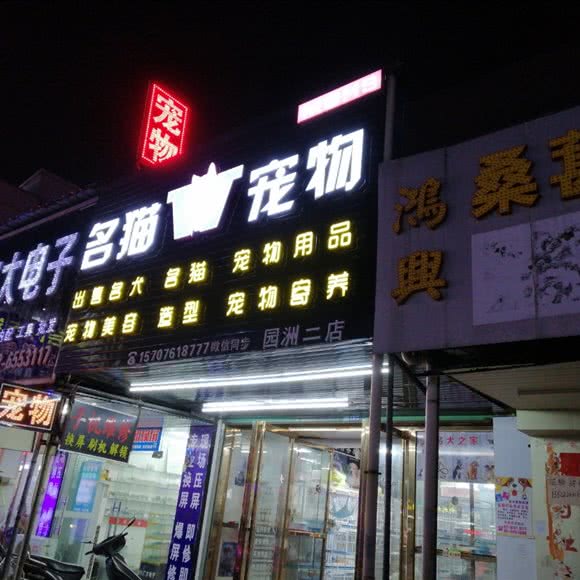 名猫宠物(园洲二店):惠州市博罗县