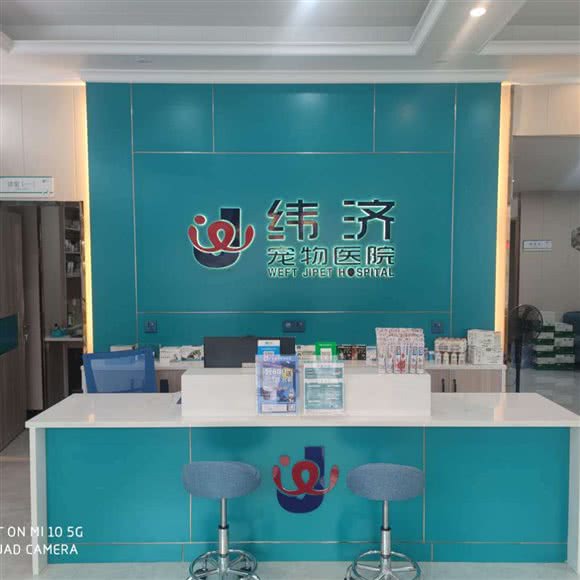 纬济宠物医院(石湾分店):惠州市博罗县