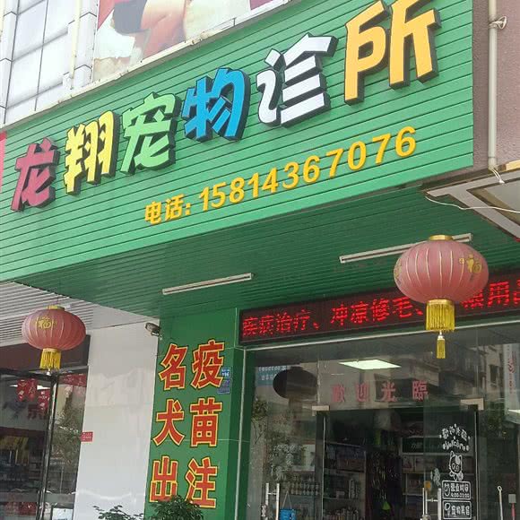 龙翔宠物诊所:惠州市博罗县