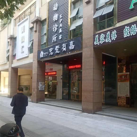 宠爱有嘉动物诊所:惠州市博罗县