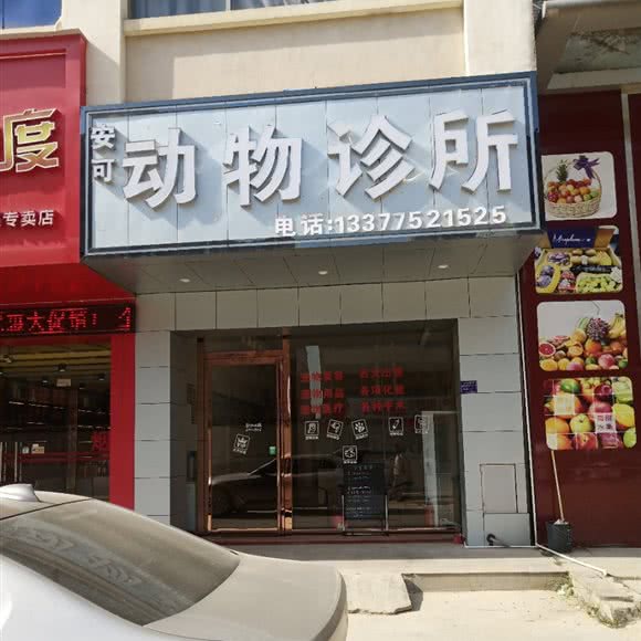 安可动物诊所:惠州市博罗县