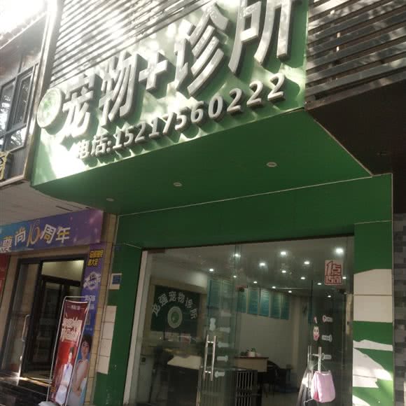 龙强宠物诊所:惠州市博罗县