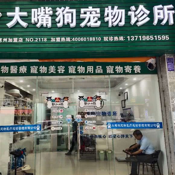 石湾镇大嘴狗宠物诊所:惠州市博罗县