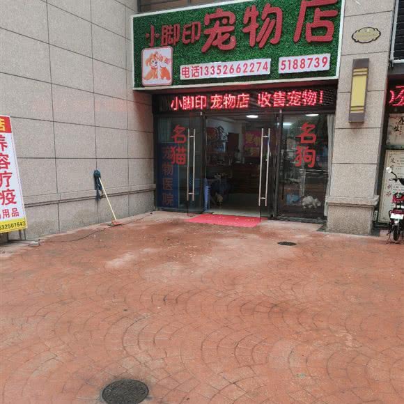 小脚印宠物店:惠州市惠东县