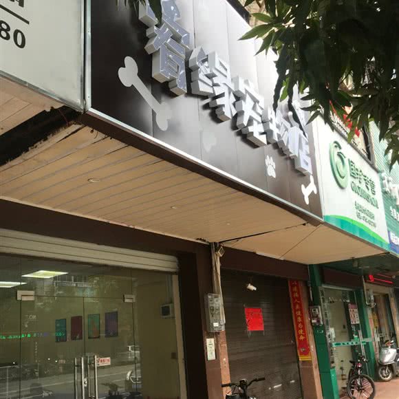 宥缘宠物店:惠州市惠东县