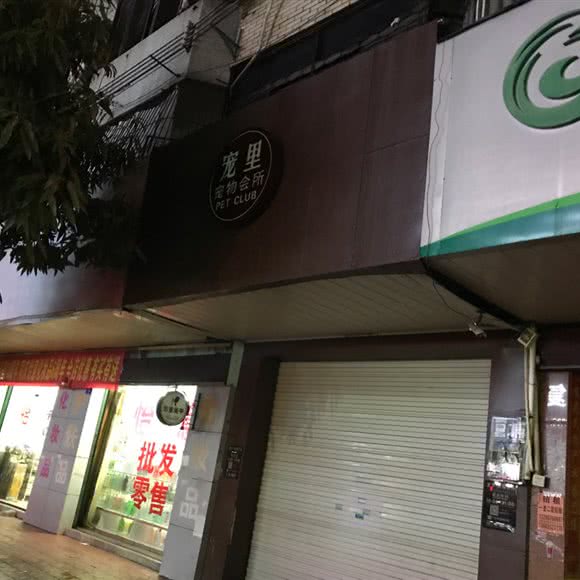 宠里头宠物会所:惠州市惠东县