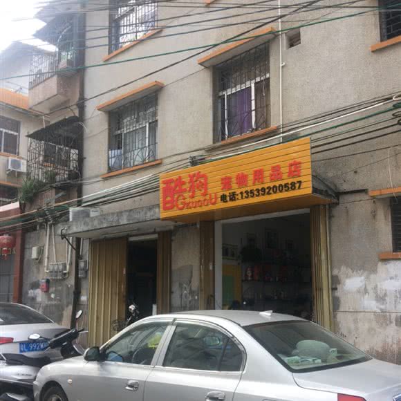 酷狗宠物用品店:惠州市惠东县