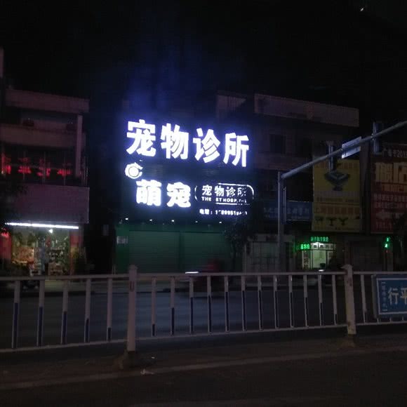 宠物诊所:惠州市惠东县