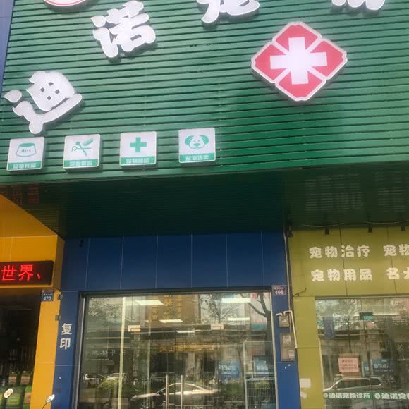 迪诺宠物诊所:惠州市惠东县