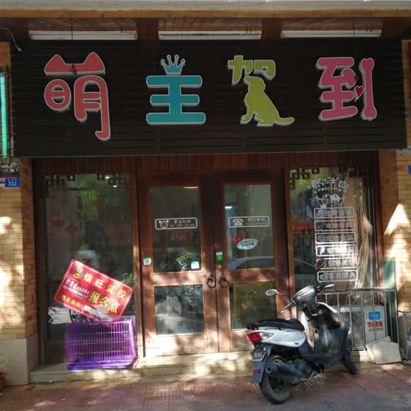 萌主驾到宠物店:梅州市梅县区