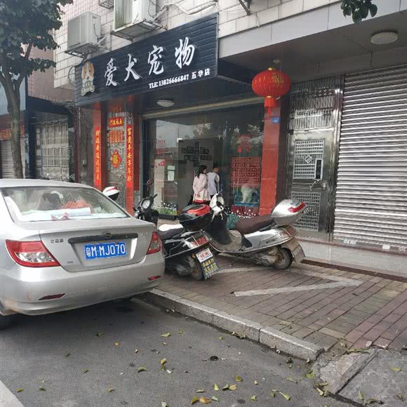 爱犬宠物(五华店):梅州市五华县
