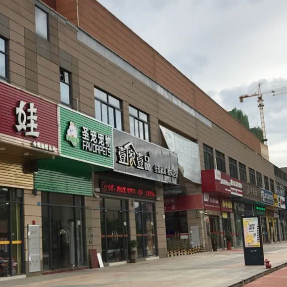 圣宠宠物(梅州奥园广场店):梅州市蕉岭县