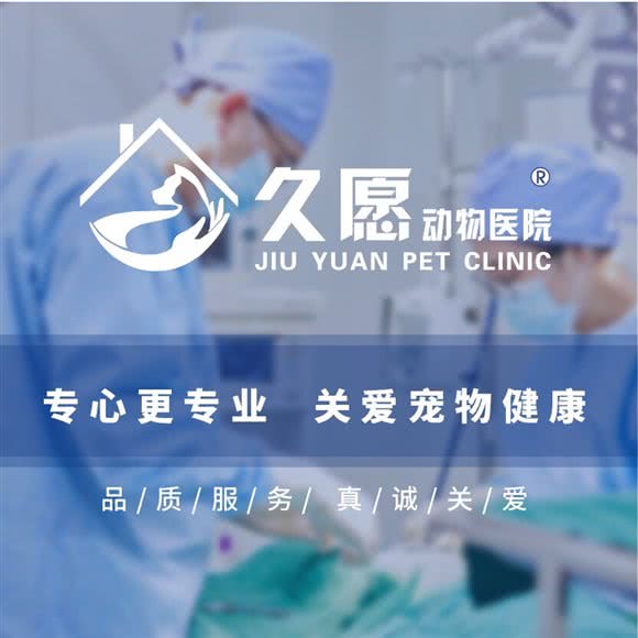 久愿动物医院综合诊疗中心:沈阳市沈河区文艺路/文化路附近