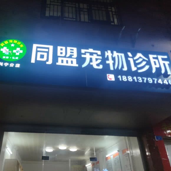 同盟狗狗诊所:梅州市兴宁市