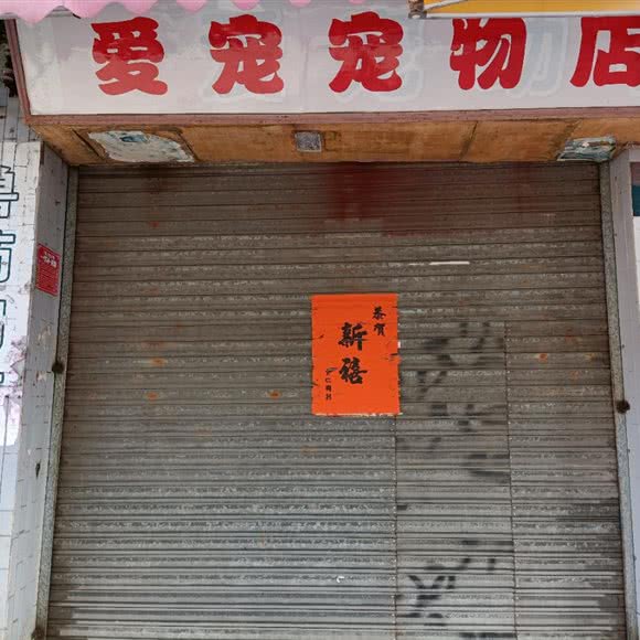 陆丰爱宠生活馆:汕尾市陆丰市