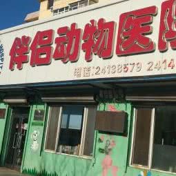 伴侣动物医院(文化路店):沈阳市沈河区文艺路/文化路附近