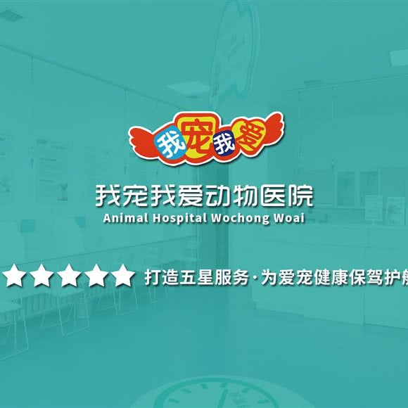 我宠我爱动物医院(南塔店):沈阳市沈河区文艺路/文化路附近