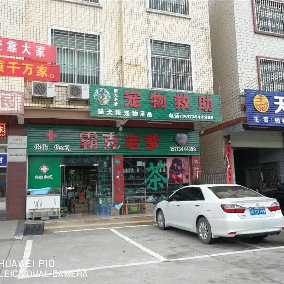 宠物救助:河源市源城区