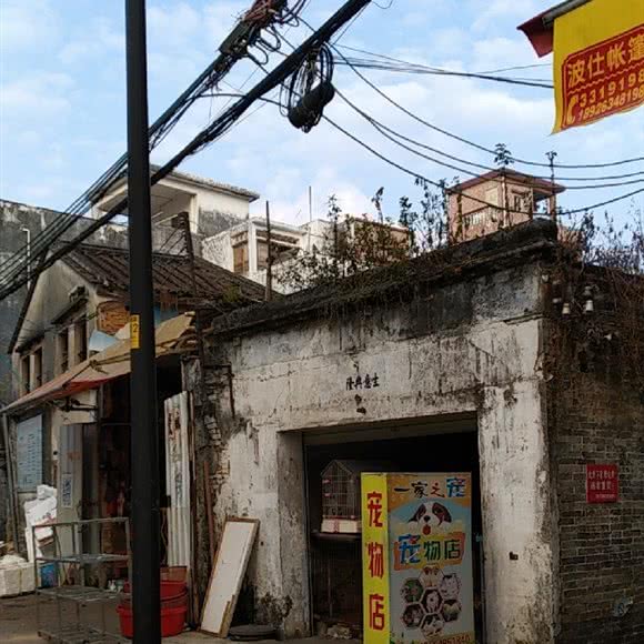 一家之宠宠物店:阳江市江城区