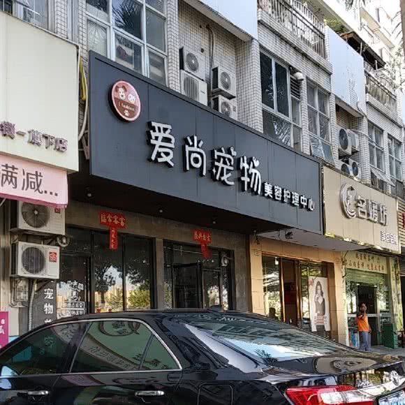 爱尚宠物美容护理中心:阳江市江城区