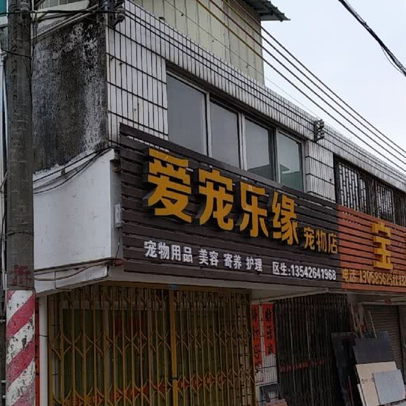 爱宠乐缘宠物店:阳江市江城区