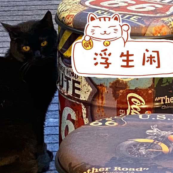 浮生闲猫咖撸猫:沈阳市沈河区北站/市府附近