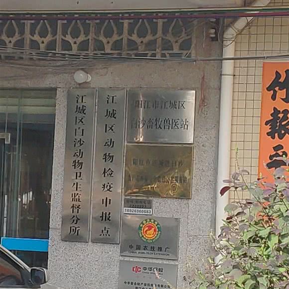 阳江市江城区白沙畜牧兽医站:阳江市江城区
