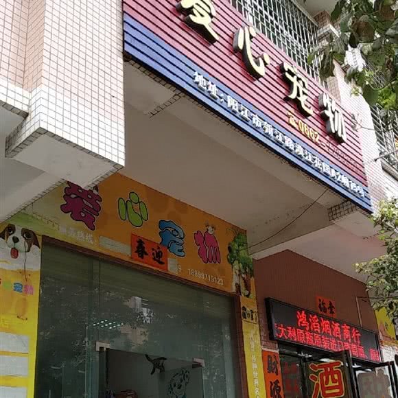 爱心动物:阳江市江城区