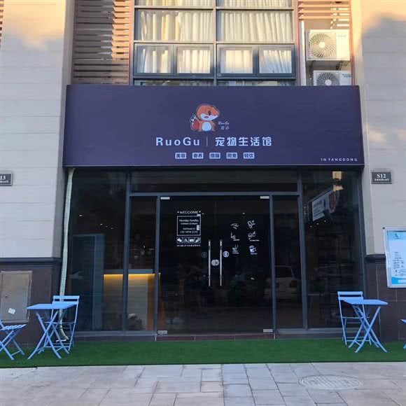 RuoGu宠物生活馆:阳江市阳东区