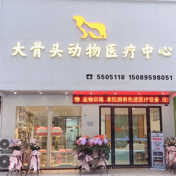 大骨头动物医疗中心:阳江市阳西县