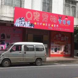 Q宠宠物生活馆:阳江市阳春市