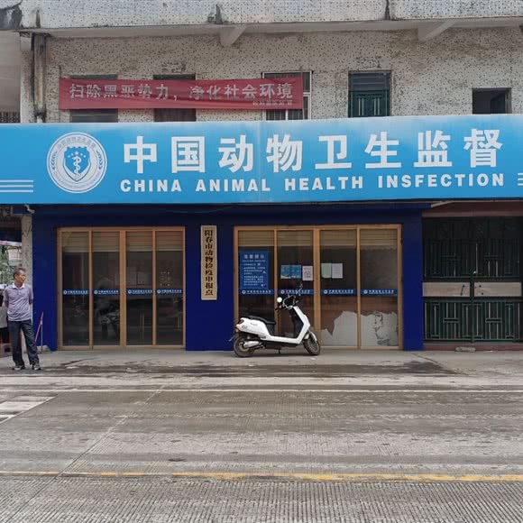 阳春市松柏镇畜牧兽医站:阳江市阳春市