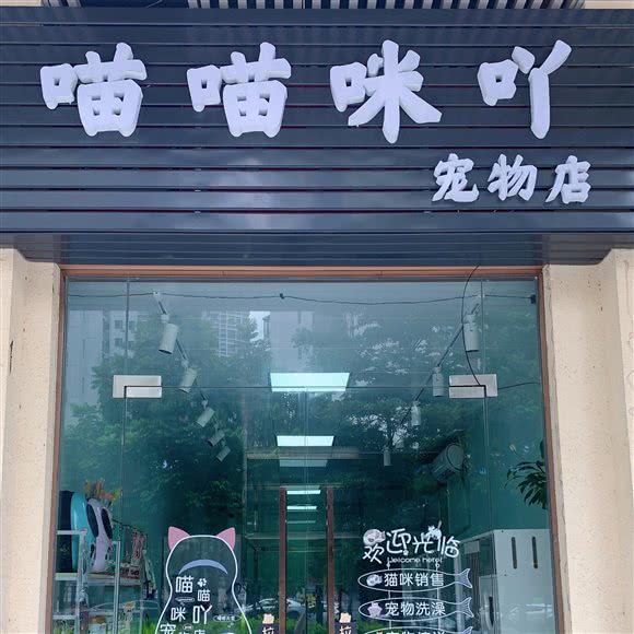 喵喵咪吖宠物店:清远市清城区