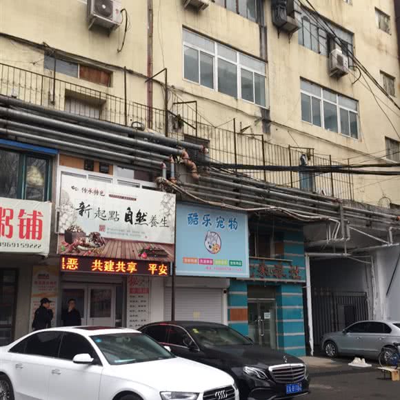 酷乐宠物:沈阳市沈河区北站/市府附近