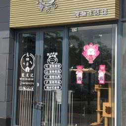 宠友记:清远市英德市