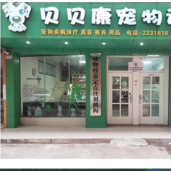 贝贝康宠物诊所(茶园中路店):清远市英德市