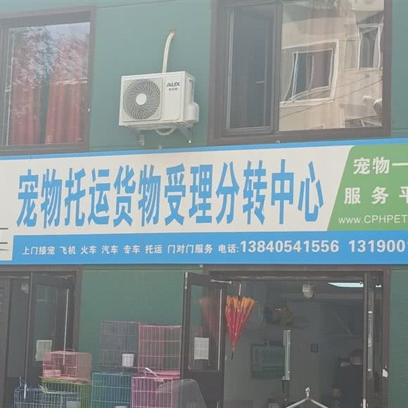 91宠品汇:沈阳市沈河区北站/市府附近