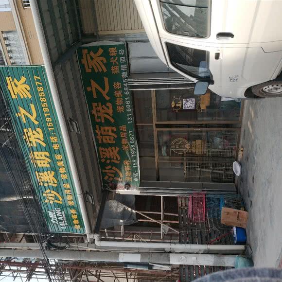 沙溪萌宠之家:潮州市潮安区