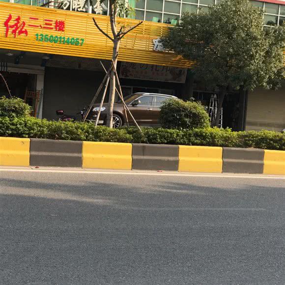 宠の托邦:潮州市潮安区