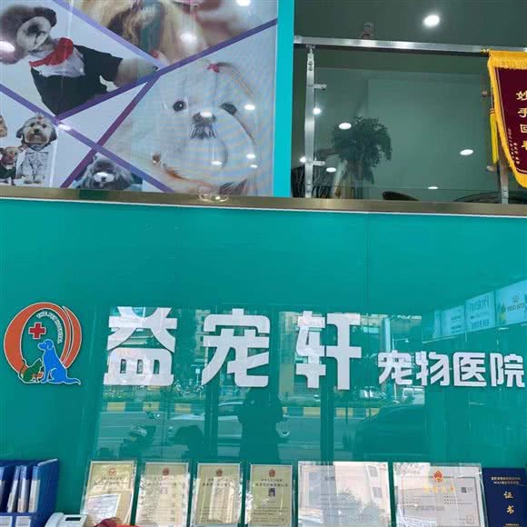 益宠轩宠物医院:潮州市潮安区