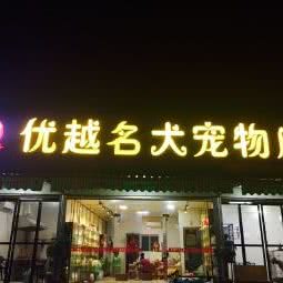 优越名犬宠物店:潮州市饶平县