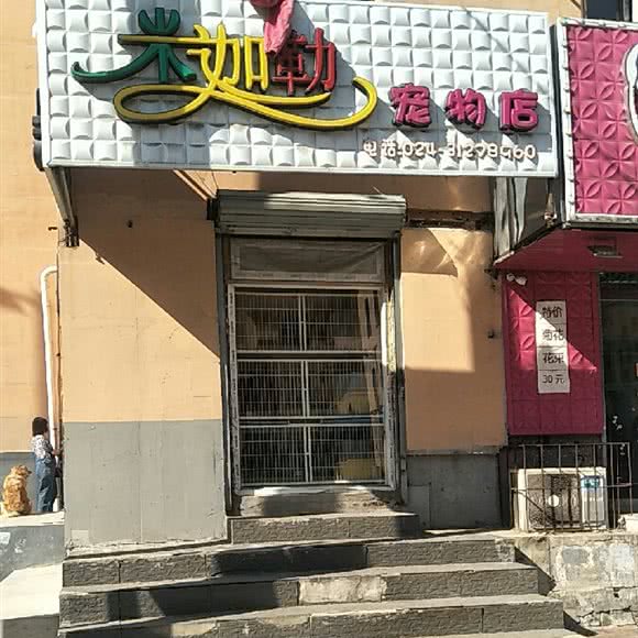 米迦勒宠物店:沈阳市沈河区五爱市场附近